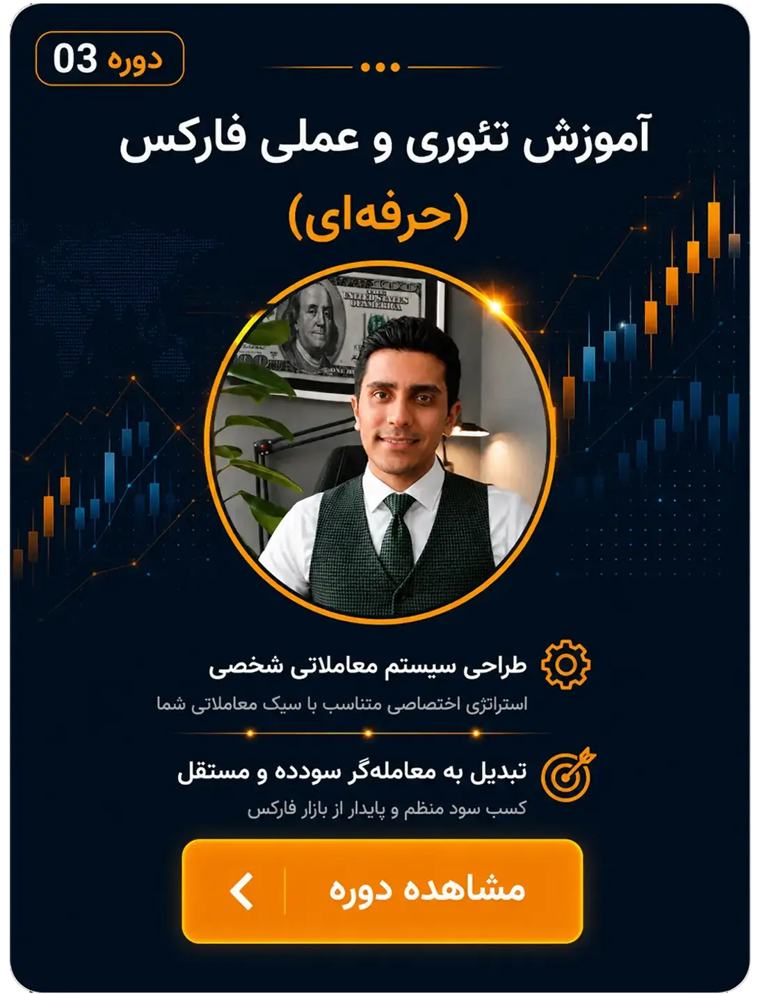 حرفه‌ای